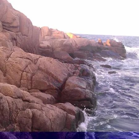 Hotel Chernomorets Отель 2*